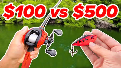 $100 vs $500 Budget Fishing Challenge (Rod, Reel, Lures)