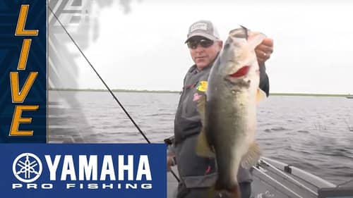 Yamaha Clip of the Day: Wendlandt's late catch to stay in Top 5
