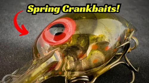 The EXACT Crankbaits I Use During The Spring!