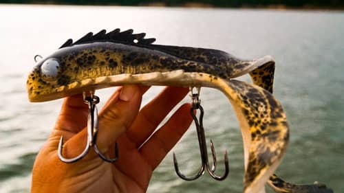 HUGE Crazy Baits for Multiple GIANT Fish