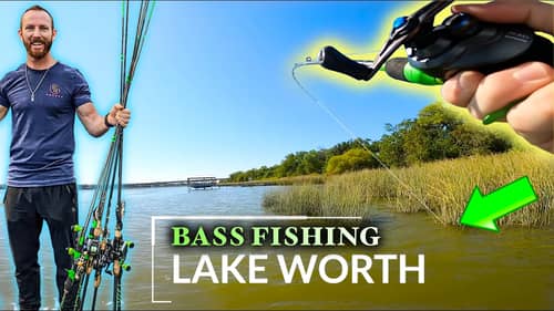 Bass Fishing Lake Worth (Fort Worth Texas) 2022