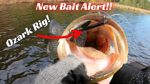 NEW Bait Alert! The Ozark Rig!!!