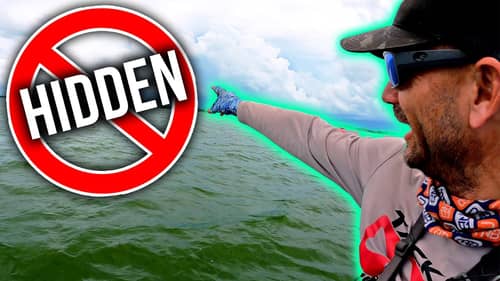 NO one Fishes for these HIDDEN BASS - But You Can!