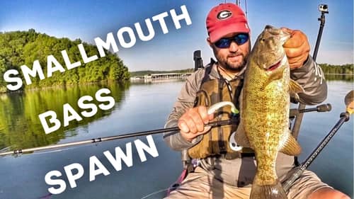 How to Fish the Smallmouth Bass Spawn - Bass fishing tips and techniques