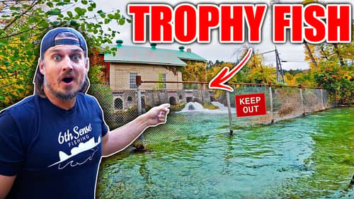 I Traveled 1100 Miles to Catch these TROPHY Fish!!