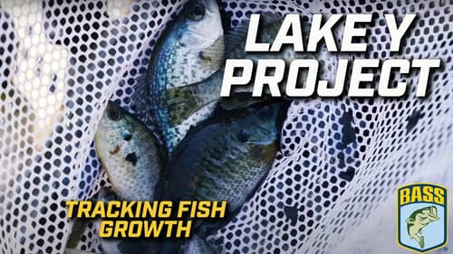 Bassmaster's Lake Y Project: Tracking fish growth after floods