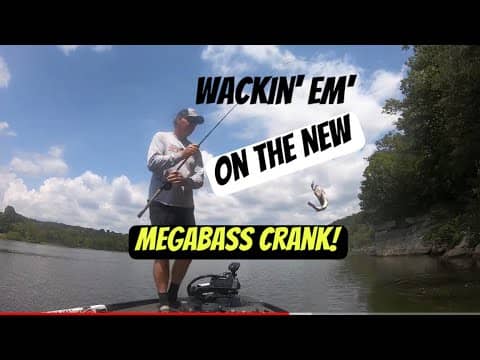 Watch My 50+ Bass Day With This New Megabass Crank!