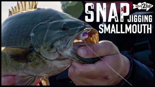 4 Tips for Snap Jigging Cold Water Bass
