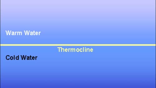 Don’t let The Summer Thermocline Intimidate You…3 Keys To Understanding It  To Catch Hogs…