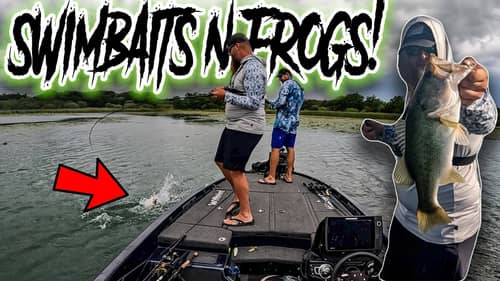 HYPER AGGRESSIVE BASS! Swimbaits & Frogs with the Owner of 6th Sense Fishing