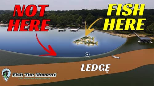 You’re Fishing Ledges The Wrong Way – Here’s the Solution