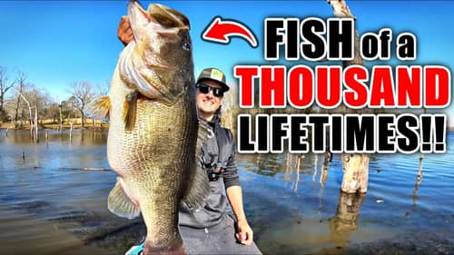 I CAUGHT THE BASS OF A THOUSAND LIFETIMES!! And You WON'T BELIEVE How...