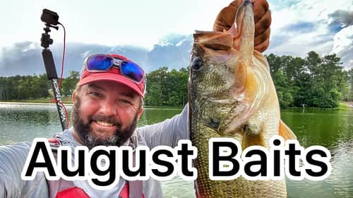 August Bass Fishing Baits for All Day Fishing