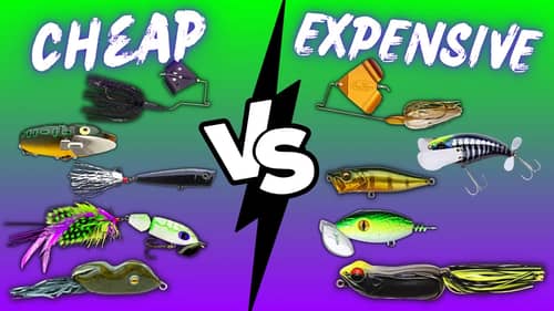 CHEAP VS EXPENSIVE Fishing Top Water Lures On The Water Review