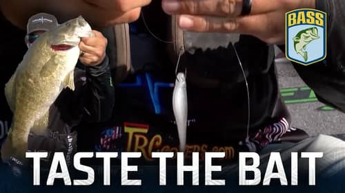 Taste the Bait: Bill Weidler's winning gear at St. Clair (Bassmaster Elite Series Win)