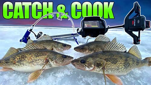 Hammering MEATY First Ice WALLEYE for Dinner!! (CATCH CLEAN COOK)