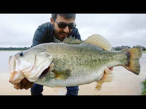 The PERFECT STORM for MONSTER BASS!!