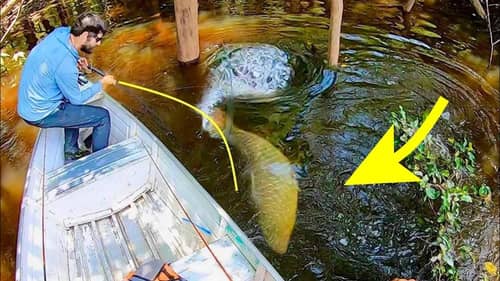 The MOST DIFFICULT FRESHWATER FISH TO CATCH?! (MASSIVE)