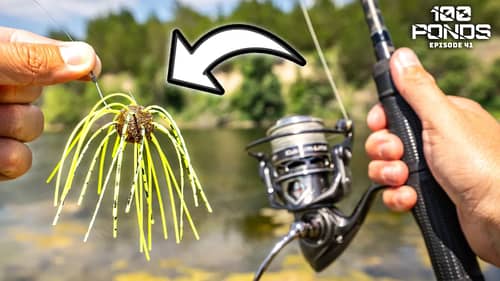 Bank Fishing With The WEIRDEST Lure Ever Made (100 Ponds Ep. 41)