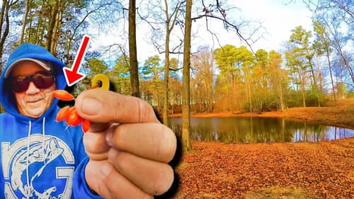 Easy Way To Catch Dinner From A Pond! **Bluegill Fishing Worm & Bobber**