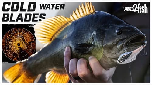 Blade Bait Techniques for Winter Smallmouth Bass