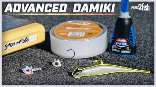 How to Fish the Damiki Rig | Beginner to Advanced