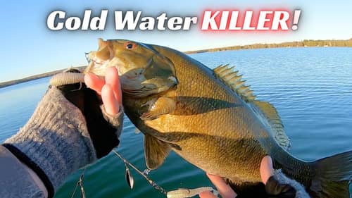 This Is The Best Cold Water Fishing Lure Of All Time!