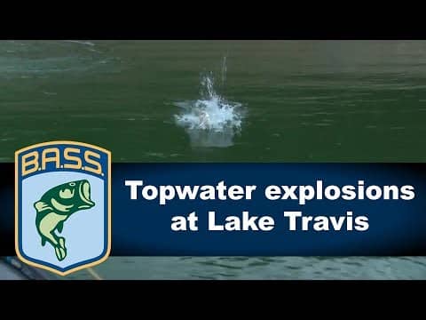 Best of topwater strikes on Lake Travis