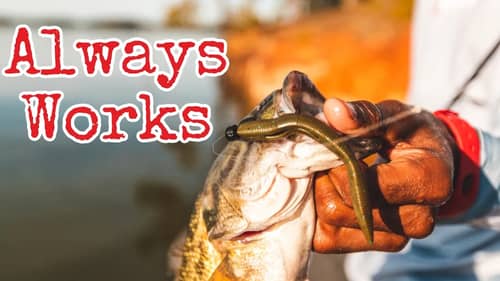 Simple Rigging Options for Soft Plastics That ALWAYS WORK!