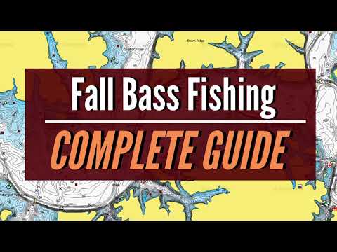 Fall BASS Fishing COMPLETE GUIDE (Fall Transition TO Late Fall)