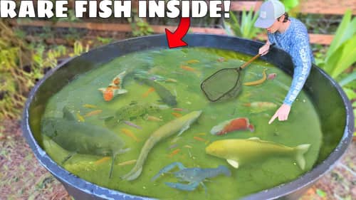 Rare Fish Found LIVING in GREEN SLIME POND!