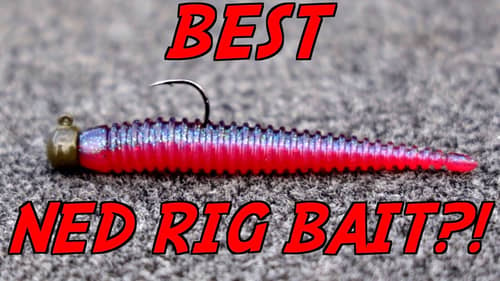 Is This NEW Ned Rig Bait a GAMECHANGER?!