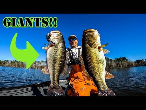 INSANE 31+LB SACK of BASS With ONLY 4 FISH!!! || We Caught GIANTS!!