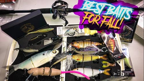 The BEST Baits For Fall Time, Unboxing New Swimbaits, KGB Legend, Bergblades Mini Slim PLUS MORE!
