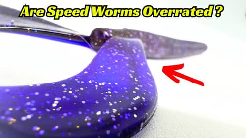 Are Swimming (Speed) Worms Overrated? Some Might Think So