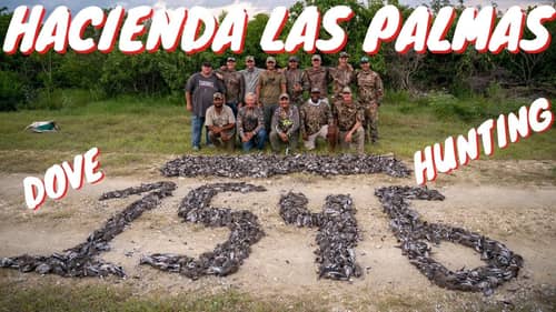 1500+ DOVES! HACIENDA LAS PALMAS - MEXICO DOVE HUNTING