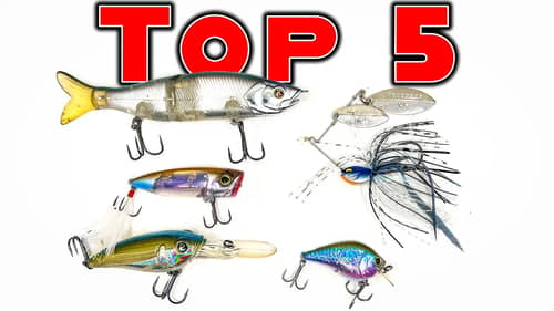 Top 5 Baits For May Bass Fishing!