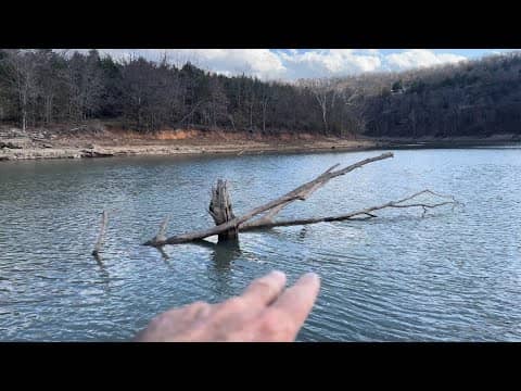 Stop Making These Newbie Mistakes Fishing Wood Cover…(On The Water Demo)