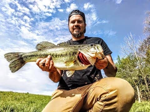 POND of GIANTS Delivers Again      || HUGE BASS ||