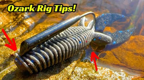 These Ozark Rig Tips Will Get You More Bites!