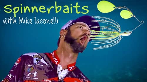 Ike's Top 5 Reasons to Fish a Spinnerbait for Bass