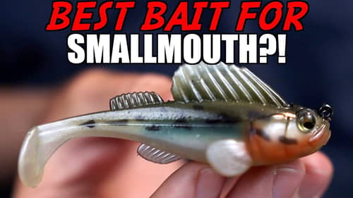 This is My FAVORITE Bait for Smallmouth Bass! (Megabass Dark Sleeper)