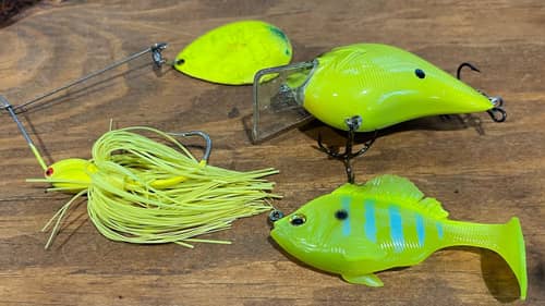 Bright Chartreuse Will Catch The Biggest Bass Under THIS Condition…