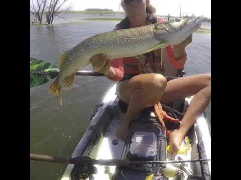 PIKE ACTION IN KAYAK