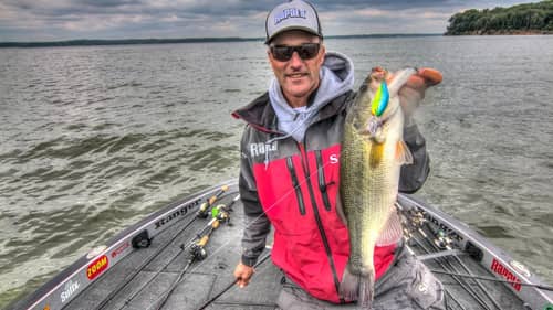Tips to Trigger More Bass on Crankbaits