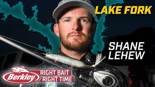 Berkley Right Bait at the Right Time at Lake Fork for Shane LeHew