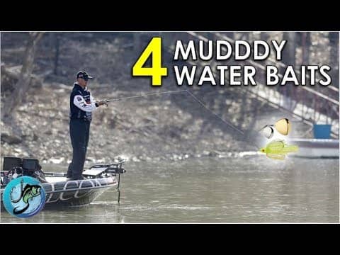 Top 4 Muddy Water Lures for Bass Fishing in Pre-Spawn | Dirty Water Tips