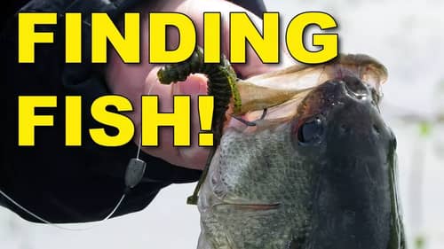 The Best Baits For Finding Fish, Proven to be Effective | Bass Fishing