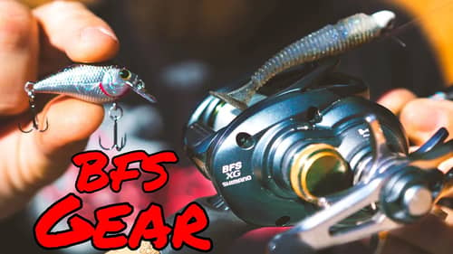 BUYER'S GUIDE: BFS (BAIT FINESSE SYSTEM) RODS, REELS, AND TACKLE