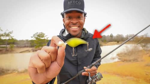 This Is the BEST Finesse Lure To Use in Your Pond (My Day Saving Lure)